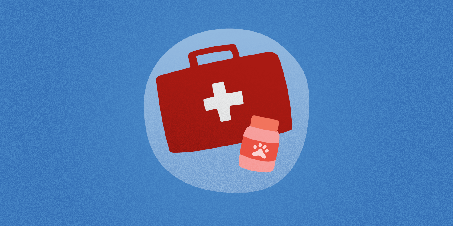 TTP-academy-pet-first-aid.png