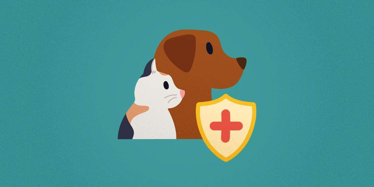TimeToPet-Academy-Insurance.jpg