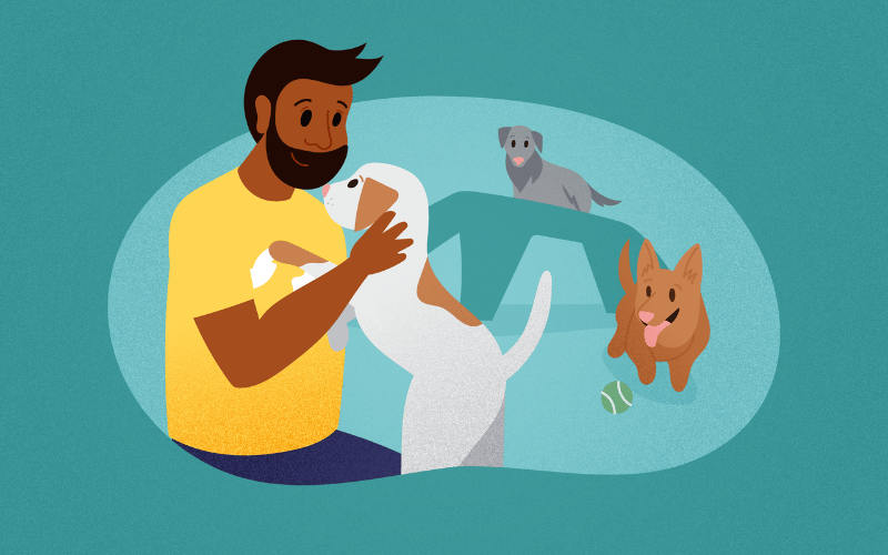 start-a-dog-daycare-business-rectangle.png