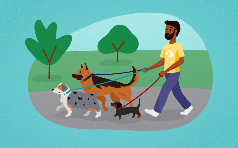 starting-dog-walking-business-rectangle.png
