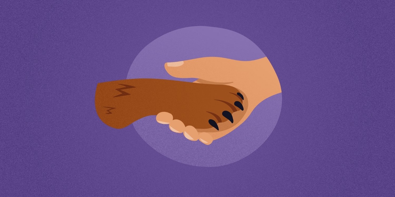 TimeToPet-Academy-First-Client