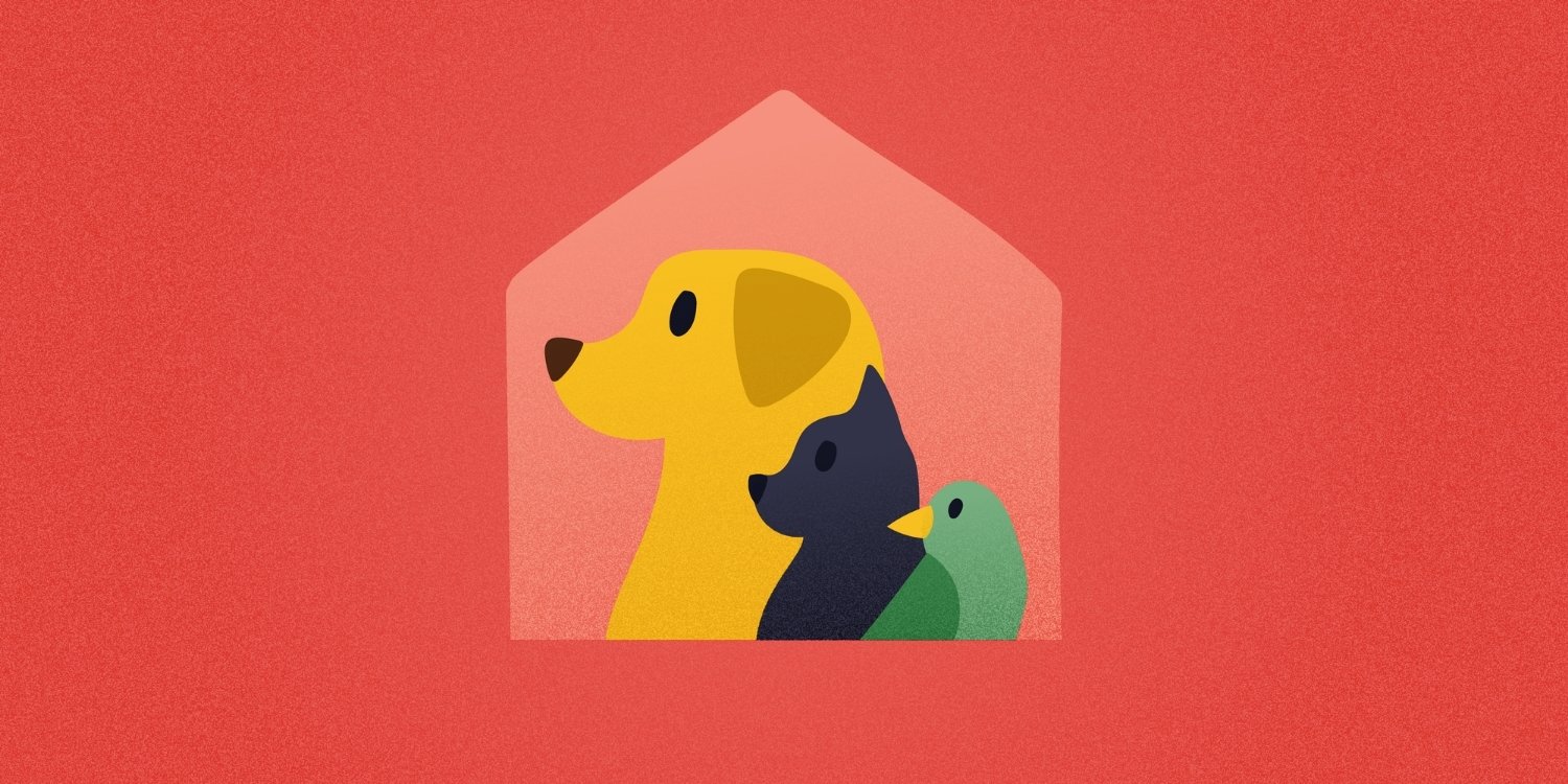 TimeToPet-Academy-What-Services-To-Offer